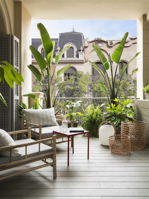 BALKON SEZONUNU BİRLİKTE AÇALIM kapak fotoğrafı