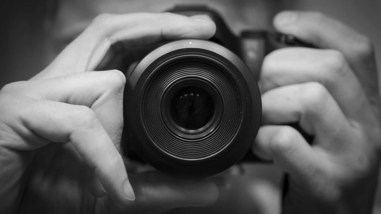 ÇAĞDAŞ SANATLAR VE ÇAĞ DIŞI HAYATLAR: FOTOĞRAF kapak fotoğrafı