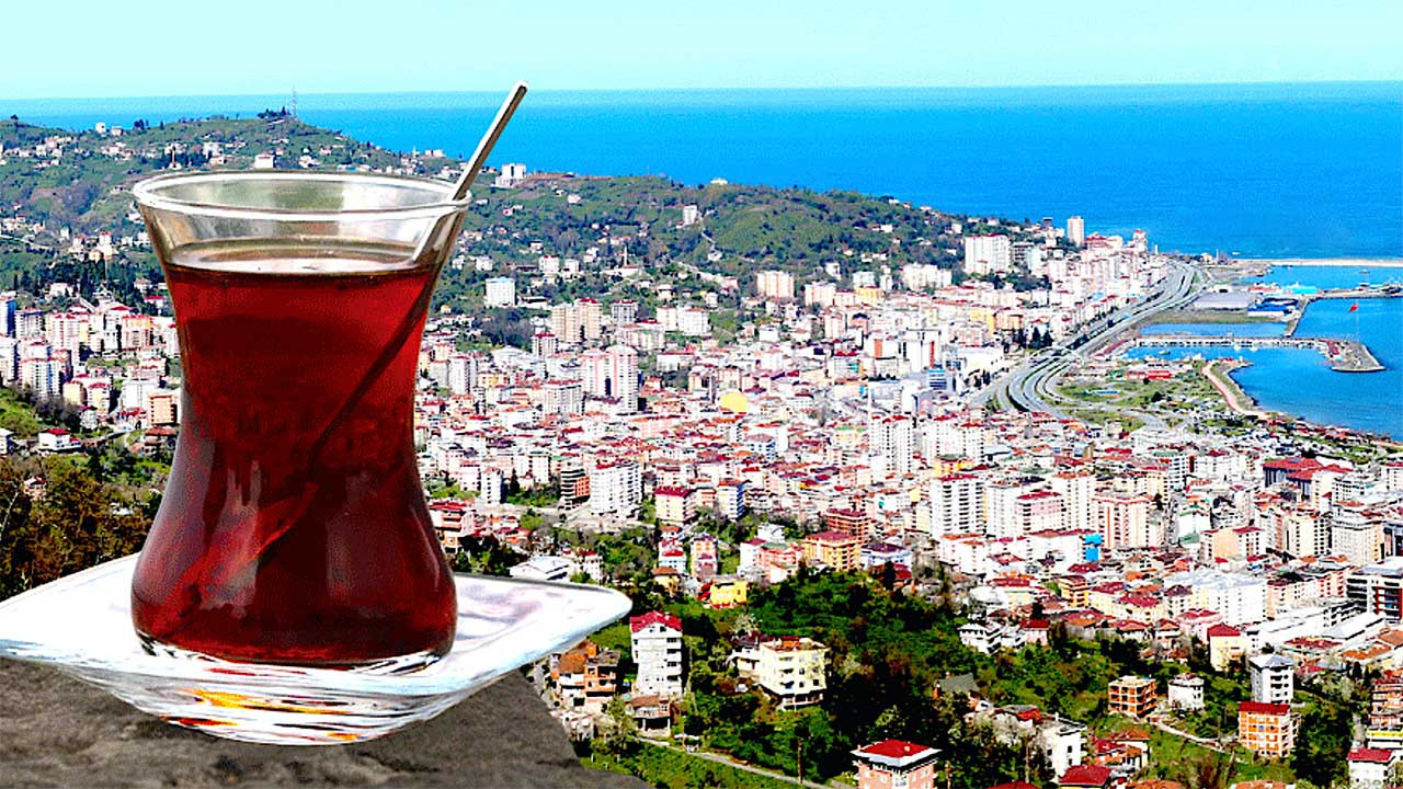ÇAY HAKKINDA BİLİNENLER VE BİLİNMEYENLER kapak fotoğrafı