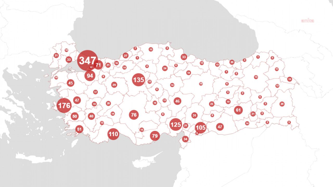 TÜRKİYE'DE KADIN CİNAYETLERİ kapak fotoğrafı