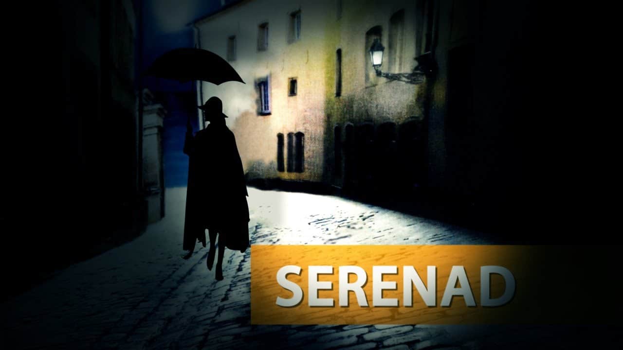 Serenad Neyi Anlatıyor? - ZÜLFÜ LİVANELİ kapak fotoğrafı